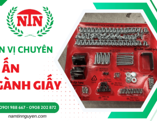 Đơn vị chuyên in ấn ngành giấy Nam Tín Nguyên - Sắc nét, đúng tiến độ