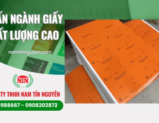 In ấn ngành giấy chất lượng cao – Giải pháp in chuyên nghiệp tại Nam Tín Nguyên