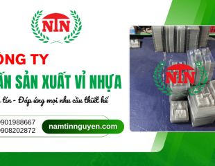 Công ty in ấn sản xuất vỉ nhựa uy tín, đáp ứng mọi yêu cầu thiết kế