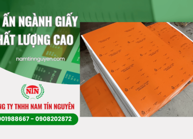 In ấn ngành giấy chất lượng cao – Giải pháp in chuyên nghiệp tại Nam Tín Nguyên